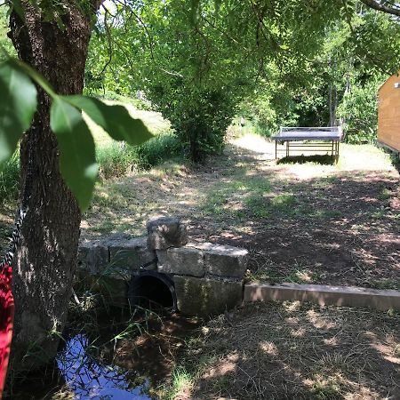Gite Dans Le Sud Aveyron 圣艾菲力克 外观 照片